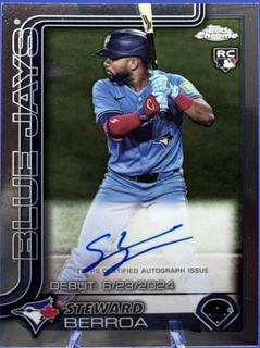 Steward Berroa