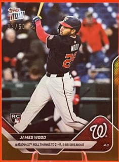 James Wood