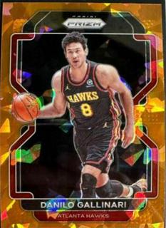Danilo Gallinari