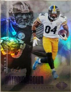 Antonio Brown, Hines Ward