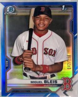 Miguel Bleis