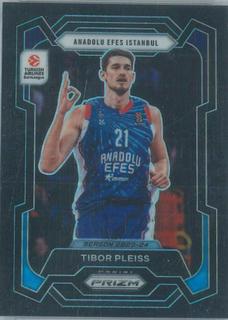 Tibor Pleiss