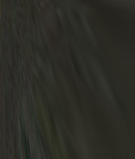 Jerry Rice