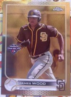 James Wood