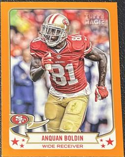 Anquan Boldin