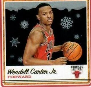 Wendell Carter Jr. Winter