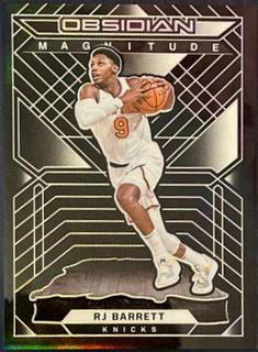 RJ Barrett