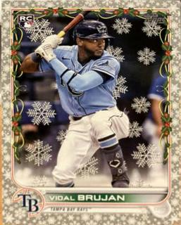 Vidal Brujan
