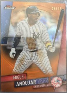 Miguel Andujar