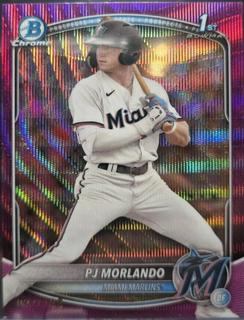 PJ Morlando