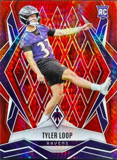 Tyler Loop