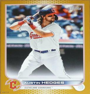 Austin Hedges