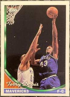 Terry Davis