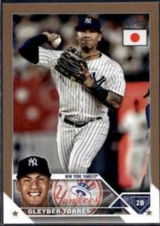 Gleyber Torres
