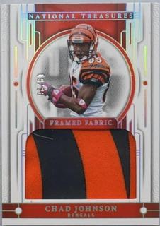 Chad Johnson