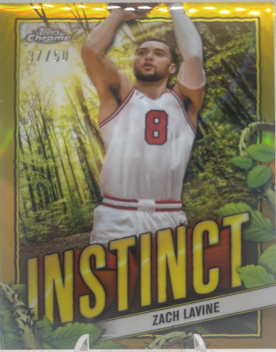 Zach Lavine