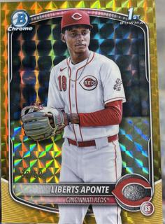 Liberts Aponte