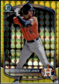 Walker Janek