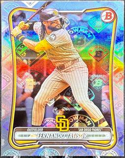 Fernando Tatis Jr.