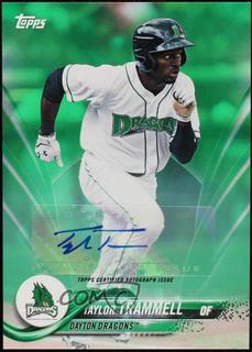 Taylor Trammell
