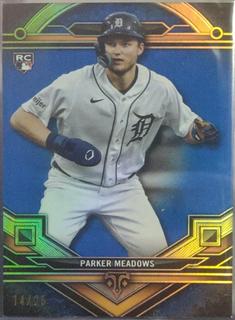 Parker Meadows