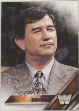 Gerald Brisco #166 Wrestling Cards 2016 Topps WWE Then Now Forever