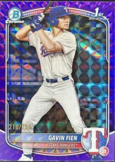 Gavin Fien