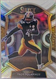 Troy Polamalu