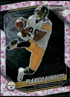 Plaxico Burress