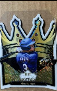 Gavin Fien