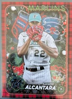 Sandy Alcantara