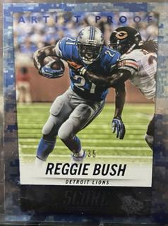Reggie Bush