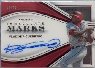Vladimir Guerrero