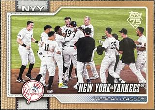 Team Card