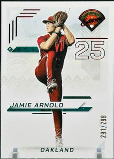 Jamie Arnold