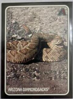 Arizona Diamondbacks