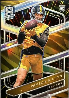 Payton Wilson