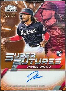 James Wood