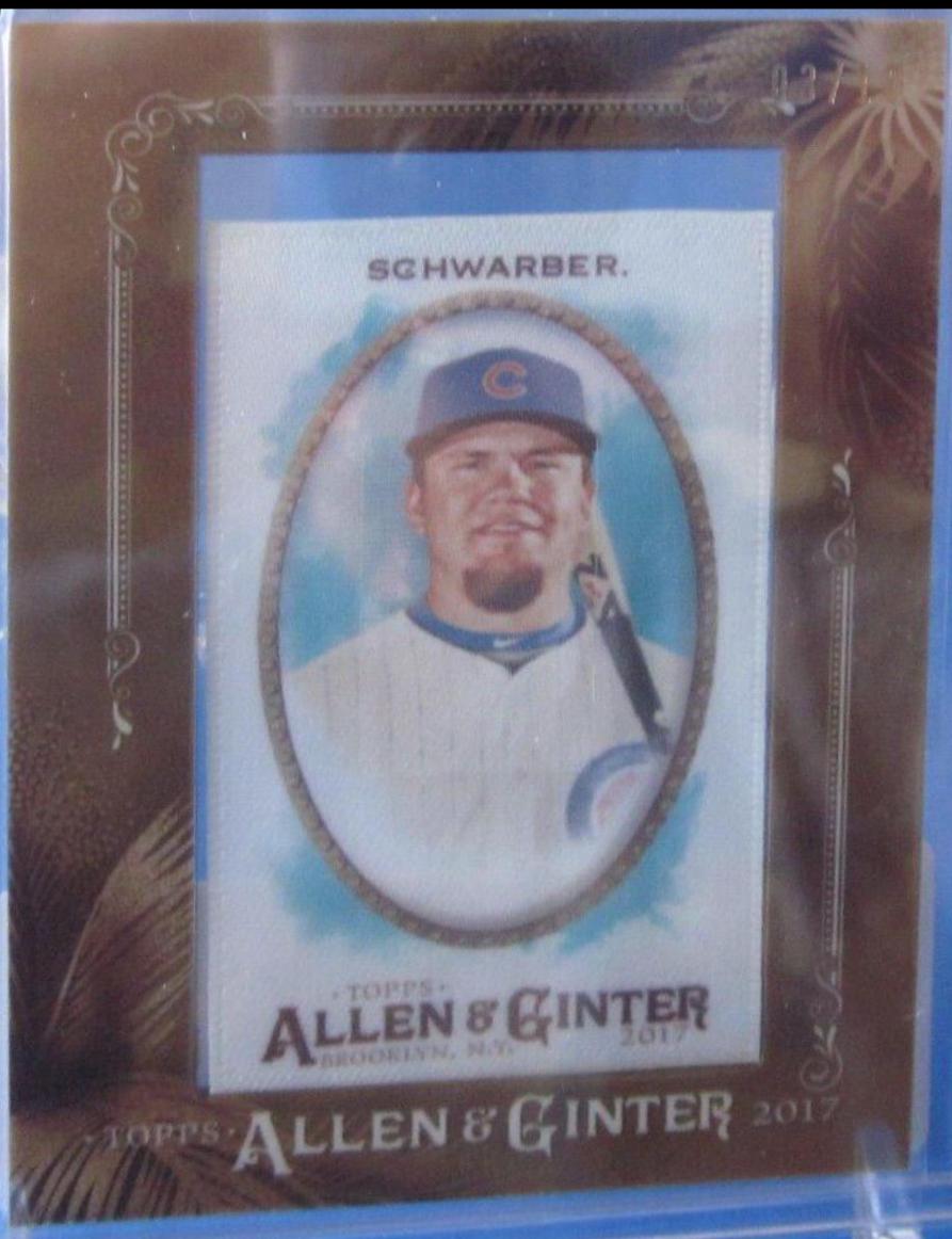 Kyle Schwarber [Mini Framed Cloth] #124