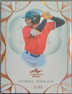Angel Genao