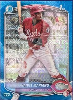 Naibel Mariano