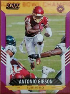Antonio Gibson