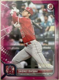 Shohei Ohtani
