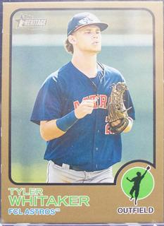 Tyler Whitaker