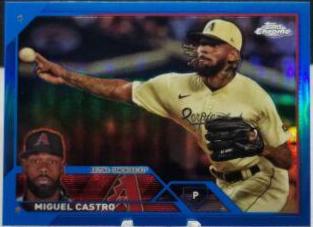 Miguel Castro