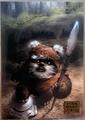 Wicket's Relic [Orange] | Star Wars 2018 Topps Galaxy