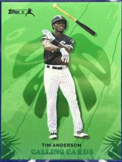 Tim Anderson