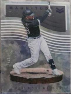 Luis Robert
