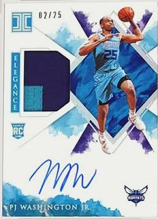 PJ Washington Jr.