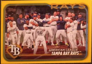 Tampa Bay Rays